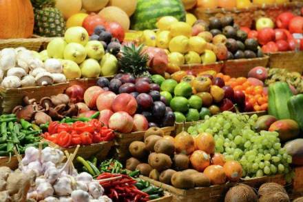 agriculture sector, agriculture industry