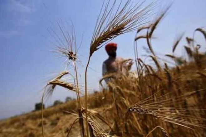 Own Rabi Weak rains hit rabi sowing in Gujarat - Market News | The Financial Express