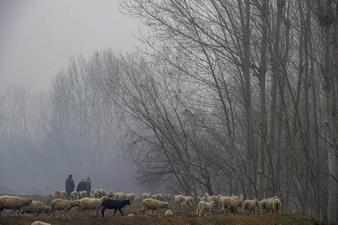 jammu kashmir snow, jammu kashmir rain, srinagar snow, kashmir snowfall, gulmarg