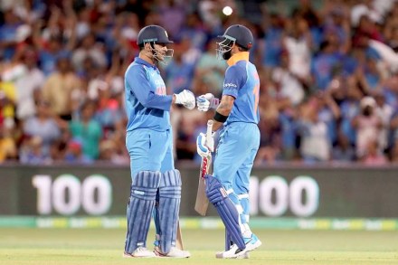 AVPPL needs about 80 lakh tonne of granite boulders to build the pyramid-shaped groyne.