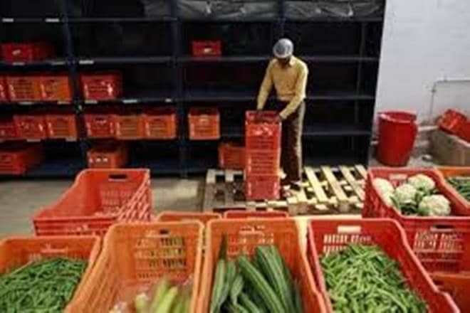 According to market intelligence provider Kalagato, BigBasket commanded 35.2% of the online grocery market as of March 2017, followed by rival Grofers at 31.5%. According to market intelligence provider Kalagato, BigBasket commanded 35.2% of the online grocery market as of March 2017, followed by rival Grofers at 31.5%.