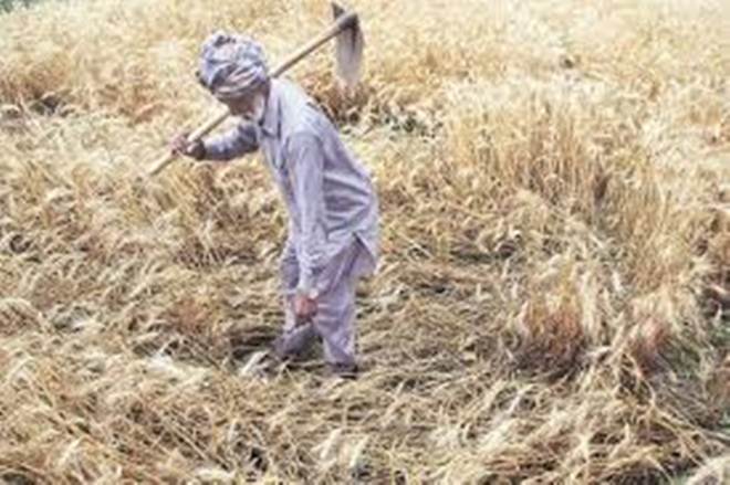 Telangana govt mulls second phase of loan waivers worth Rs 24,000 crore