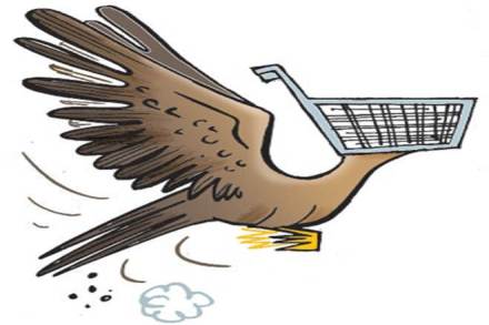 single brand retail, fdi, fdi in retail, single brand retail, fdi, fdi in retail,