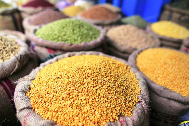Drought impact, arhar price, pulse price, pulse in maharashtra