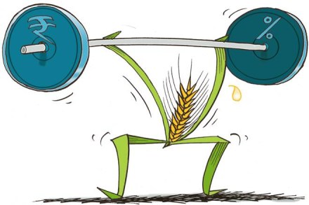 regional imbalances IN AGRICULTURE, IMBALANCES IN AGRICULTURE, AGRICULTURE, AGRICULTURE NEWS, AGRICULTURE CREDIT