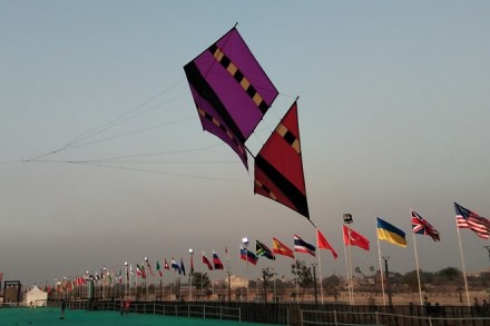 International Kite Festival in Gujarat – Uttarayan, best dori for uttarayan, flower show ahmedabad, flower show ahmedabad, kite festival drawing images, kite festival 2019 ahmedabad, kite festival International Kite Festival in Gujarat – Uttarayan, best dori for uttarayan, flower show ahmedabad, flower show ahmedabad, kite festival drawing images, kite festival 2019 ahmedabad, kite festival