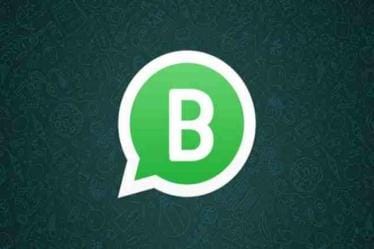WhatsApp Business, WhatsApp Business app, whatsapp, WhatsApp customers, whatsapp users