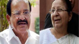 Budget 2019, M Venkaiah Naidu, interim budget, Sumitra Mahajan, budget session, Narendra Modi