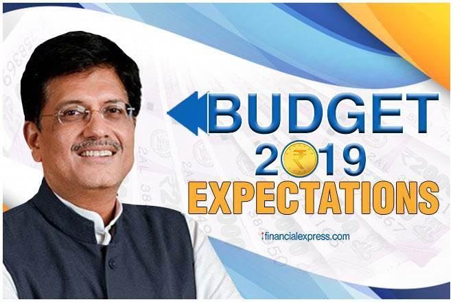 However, Interim Budget raises hopes in the minds of the common man that the government would present a taxpayer friendly Budget.