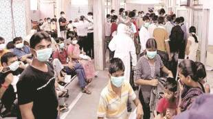 Swine flu, swine flu in delhi, Swine flu toll, rajasthan, gujarat, swine flu death, H1N1 virus, Swine flu death, swine flu cases in delhi
