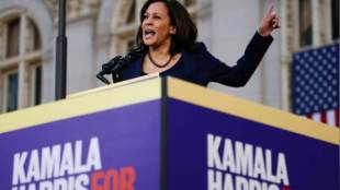 Kamala Harris, Donald Trump, US november 2020 election, US senate, Nielsen data, Democratic