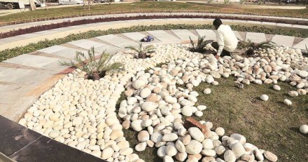 NCLT, ILFS, Income Tax Department, ICAI, Companies Act NCLT, ILFS, Income Tax Department, ICAI, Companies Act