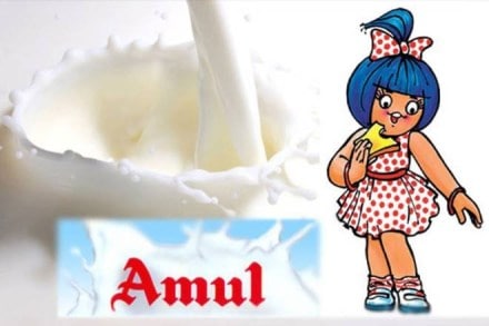Amul sues google, amul, fraudulent websites, Trade Mark Act, Copyright Act and IT Act, latest news on AMUL