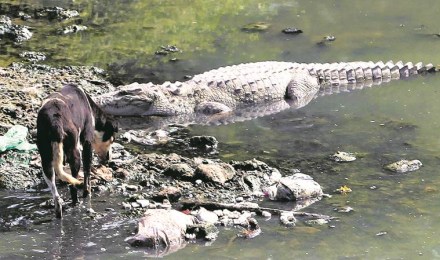 India-Kazakh relations, Military and Space Cooperation, ISRO, Kaz-IND 2019, Indian Navy, Indian Armed Forces India-Kazakh relations, Military and Space Cooperation, ISRO, Kaz-IND 2019, Indian Navy, Indian Armed Forces