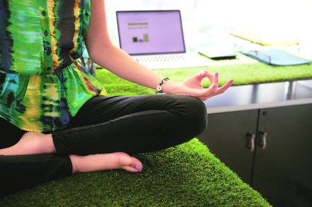 Pavamana mantra MADHYA PRADESH, Pavamana mantra supreme court