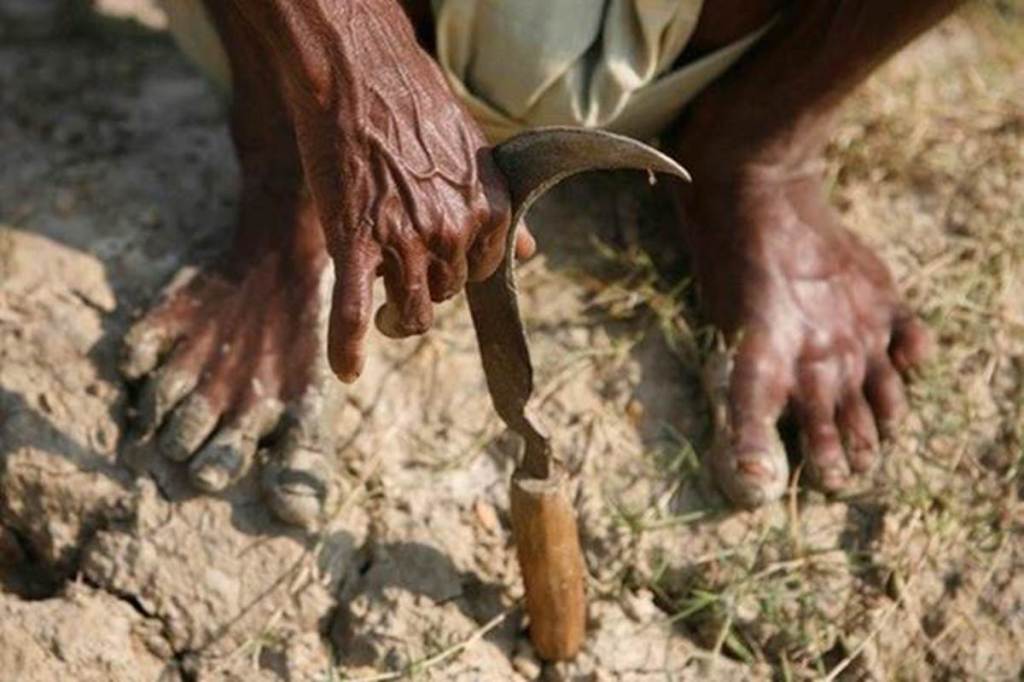Budget 2019: Government may hike farm credit target to Rs 12 lakh crore