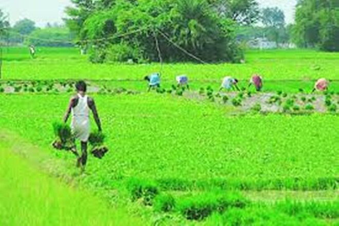 Big govt announcement for farmers soon: BJP farmers’ wing chief Virendra Singh Mast