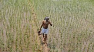 The Narendra Modi government has been mulling over several alternatives to farm loan waivers to provide some relief to the ailing agricultural sector ahead of the Lok Sabha elections.
