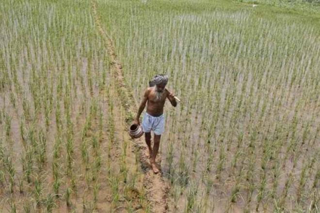 The Narendra Modi government has been mulling over several alternatives to farm loan waivers to provide some relief to the ailing agricultural sector ahead of the Lok Sabha elections.