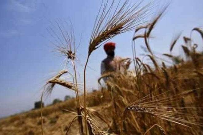 agriculture sector, agricultyre industry, pm narendra modi, narendra modi