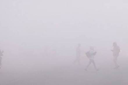  Visuals from the area around Rajpath on Friday. (ANI)
