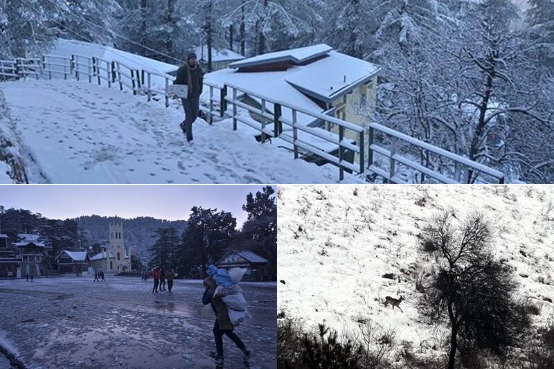 snowfall, snowfall in india, snowfall in manali, snowfall in shimla, cold wave, cold wave in north india, cold wave india, cold wave shimla, shimla temperature, shimla weather, shimla snowfall, shimla news, shimla in january, manali, manali temperature, manali weather, manali snowfall, manali news, himachal pradesh, himachal pradesh news, himachal pradesh temperature, himachal pradesh cities, jammu and kashmir, jammu and kashmir news, jammu and kashmir weather, jammu and kashmir temperature, kashmir, kashmir temperature, weather in kashmir, kashmir temperature today, kashmir temperature today, kashmir snowfall,