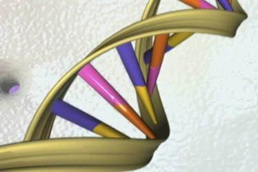 Genes may help predict how long a person will live, says study
