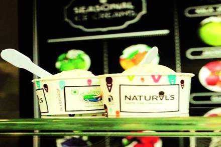 icre cream, natural ice cream