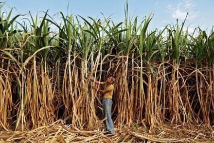 Mills likely to get additional Rs 6,000 crore in subsidised loans.