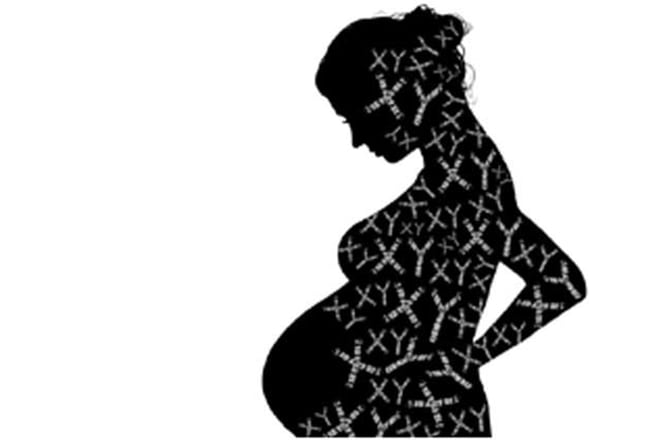 Bill prohibiting commercial surrogacy evokes mixed response