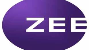 zee, zee entertainment