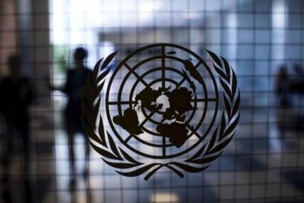Veto used by member states to block, kill proposals in UNSC Sanctions Committee: India Veto used by member states to block, kill proposals in UNSC Sanctions Committee: India
