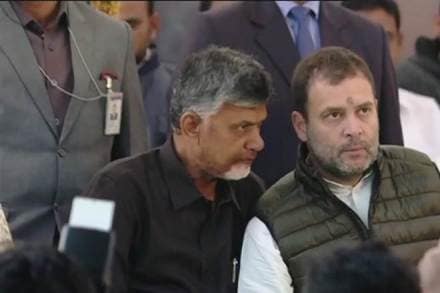 naidu fast, naidu caste, naidu modi, andhra bhawan delhi, andhra pradesh cm, delhi, mahagathbandhan, modi rahul gandhi, naidu, rahul gandhi, rahul gandhi andhra pradesh, Chandrababu naidu