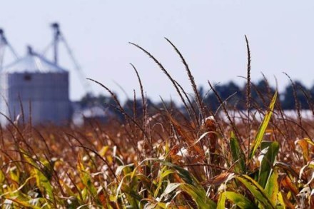 Agri-Market Infrastructure Fund, GrAMs, e-NAM platform, MNREGA fund, Nabard, rural markets