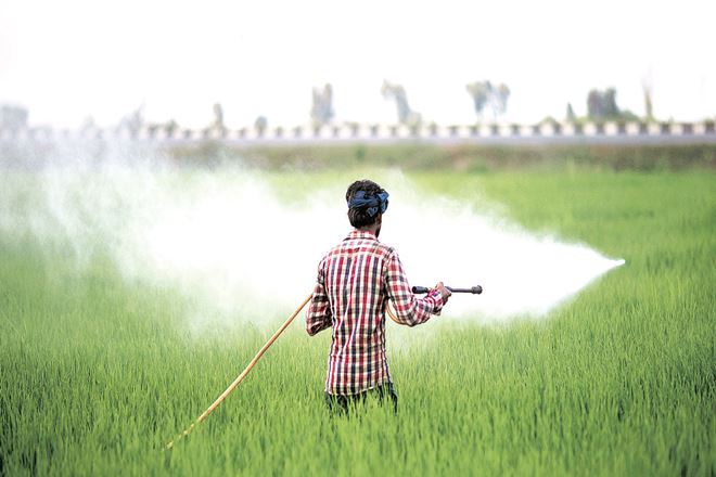 Budget 2019, Pradhan Mantri Kisan Samman Nidhi, Interim Budget, MGNREGA, Atal Pension Yojana, unorganised sector Budget 2019, Pradhan Mantri Kisan Samman Nidhi, Interim Budget, MGNREGA, Atal Pension Yojana, unorganised sector