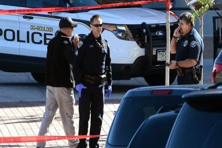 The lion was less than a year old and tested negative for rabies.

