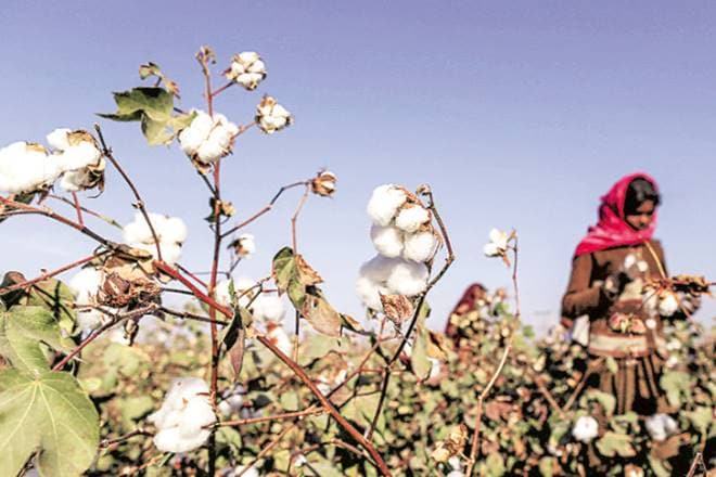 Covering cotton yarn under MEIS will boost India's exports: Textile industry body