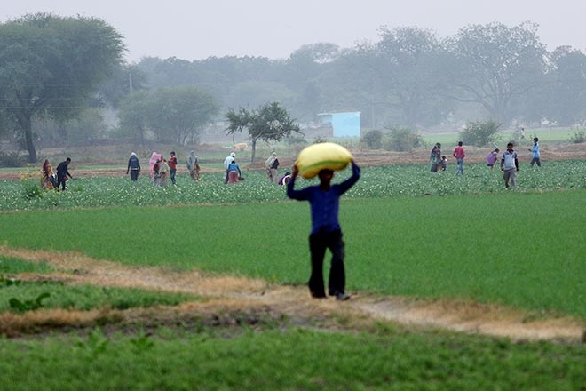 Budget 2019: Modi’s growth mantra! Can schemes for farmers, rural poor ensure a spurt in demand, fuel growth?
