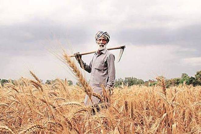 The exclusion list also includes all institutional land holders and farmer families in which one or more of members belong to following categories: former and present holders of Constitutional posts, former and present ministers/MPs/MLAs/ MLCs/ mayors.