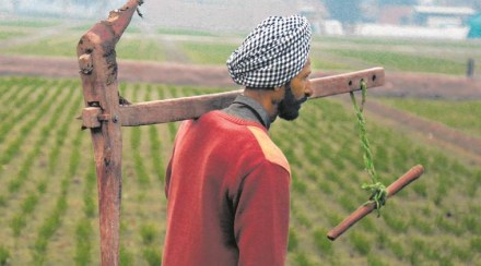 Agrarian crisis: DBT more efficient, effective than input subsidies 