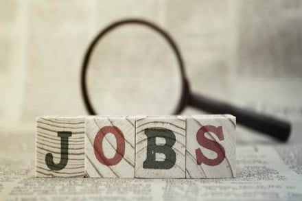 haryana ssc recruitment 2019, haryana ssc, haryana ssc result, haryana ssc result date, haryana ssc jobs, haryana ssc jobs notification, haryana ssc govt jobs