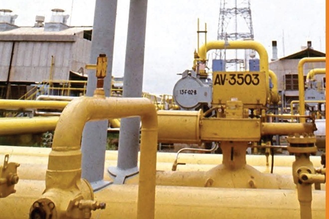  In comparison, assistance given to the 2,539-km long Urja Ganga pipeline project connecting the eastern part of the country was 40% of the total cost. (Representational photo)