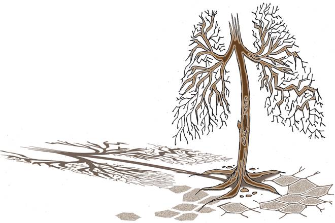 Indian agriculture, and thereby India’s food production, is highly vulnerable to climate change Indian agriculture, and thereby India’s food production, is highly vulnerable to climate change