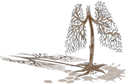 Indian agriculture, and thereby India’s food production, is highly vulnerable to climate change