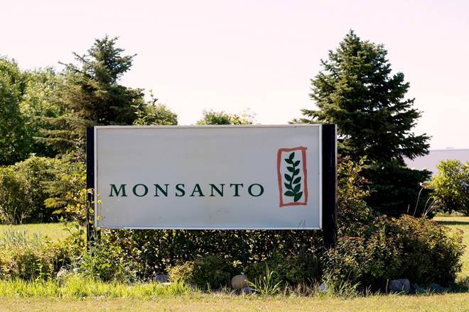 While GoI policies helped seed firms like Nuziveedu, its licence has been cancelled for selling illegal GM seeds! And when the Patent Office granted Monsanto patent, how is the Central govt saying this is illegal? (Reuters)