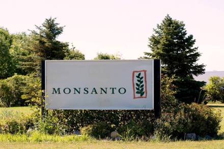 While GoI policies helped seed firms like Nuziveedu, its licence has been cancelled for selling illegal GM seeds! And when the Patent Office granted Monsanto patent, how is the Central govt saying this is illegal? (Reuters)