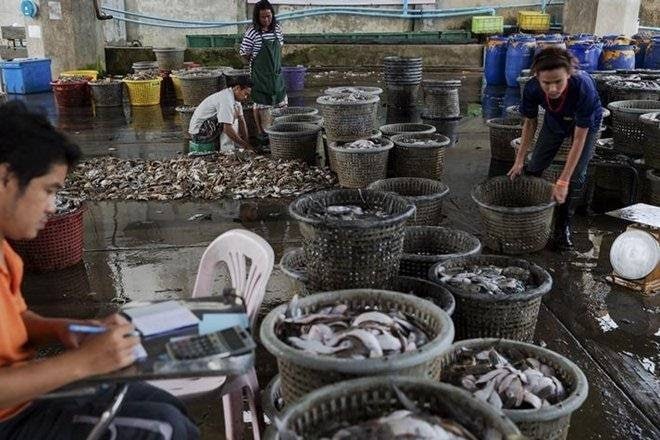 The marine fisheries sector supports approximately 260 million full and part-time jobs worldwide The marine fisheries sector supports approximately 260 million full and part-time jobs worldwide