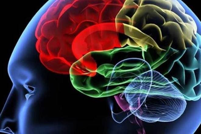 Human brain can detect changes in Earth's magnetic field