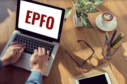 PF account number and UAN: Essential EPFO information about your provident fund