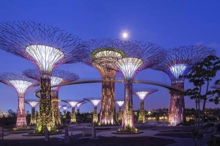 International Women’s Day, International Women’s Day 2019, International Womens Day, International Womens Day 2019, women's day 8 march International Women’s Day, International Women’s Day 2019, International Womens Day, International Womens Day 2019, women's day 8 march